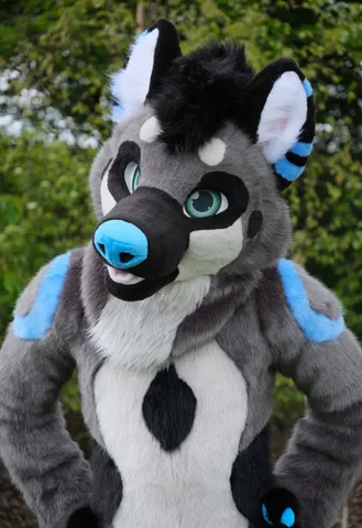 intro-pic